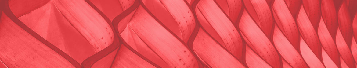 Image de couverture